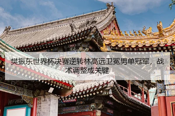 樊振东世界杯决赛逆转林高远卫冕男单冠军，战术调整成关键
